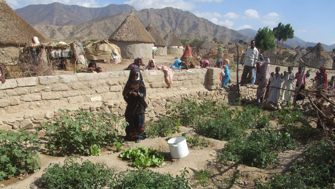 Home Garden Beneficariesn In Habero (29)